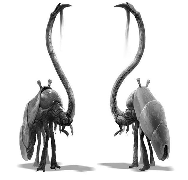 Fauna8.png