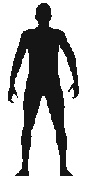 figure.png